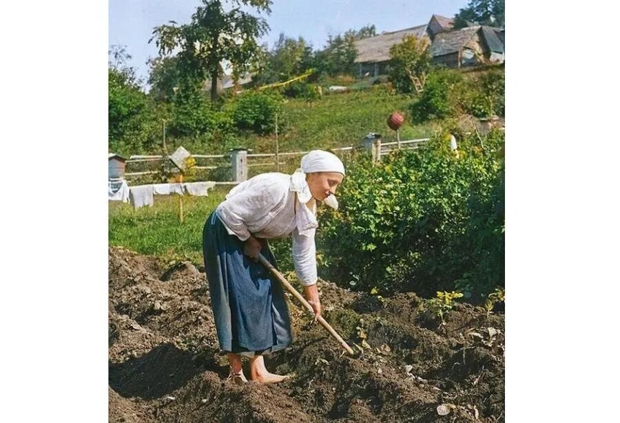Автор снимка Александр Беликов создал в 1920‑х годах настоящую фотолетопись Ленинградской области. Ныне его уникальная коллекция хранится в Музее антропологии и этнографии им. Петра Великого (Кунсткамера) РАН./РЕПРОДУКЦИЯ АВТОРА