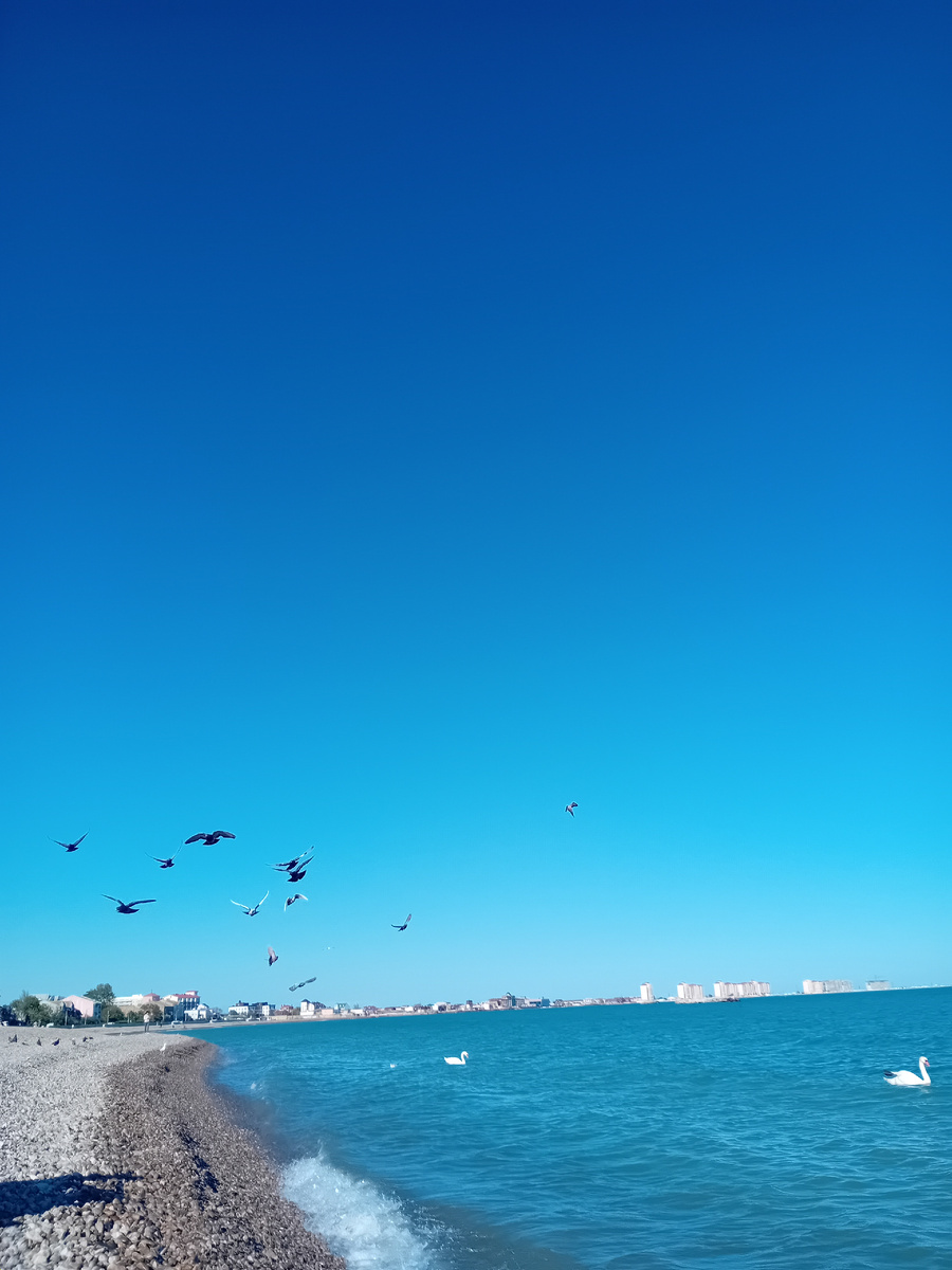 Авторское фото.