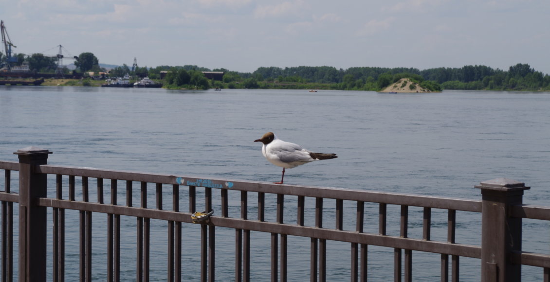    Фото: НИА "Экология"