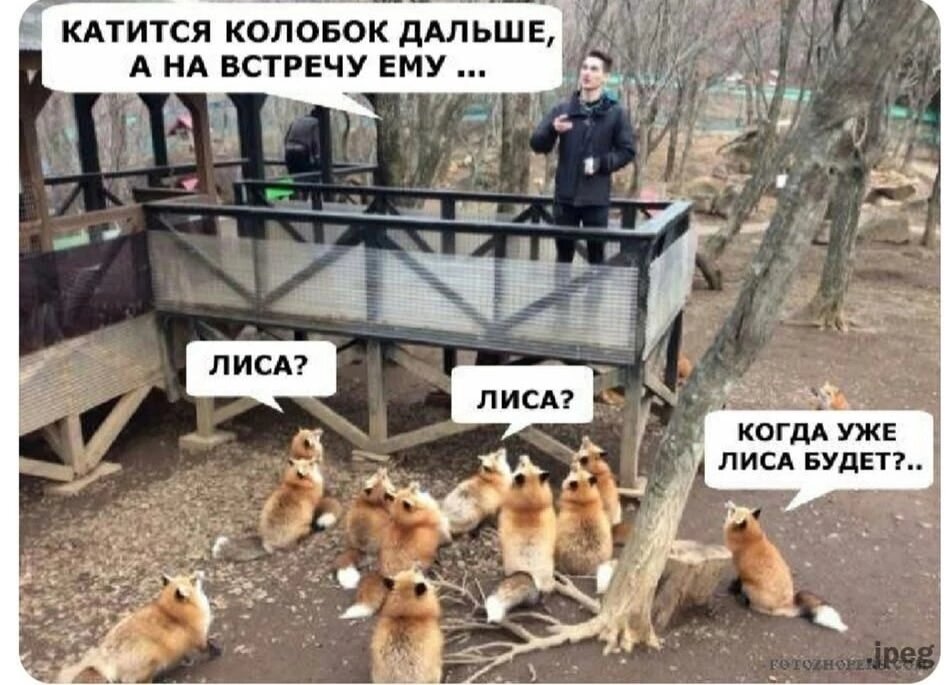 Из открытых источников 