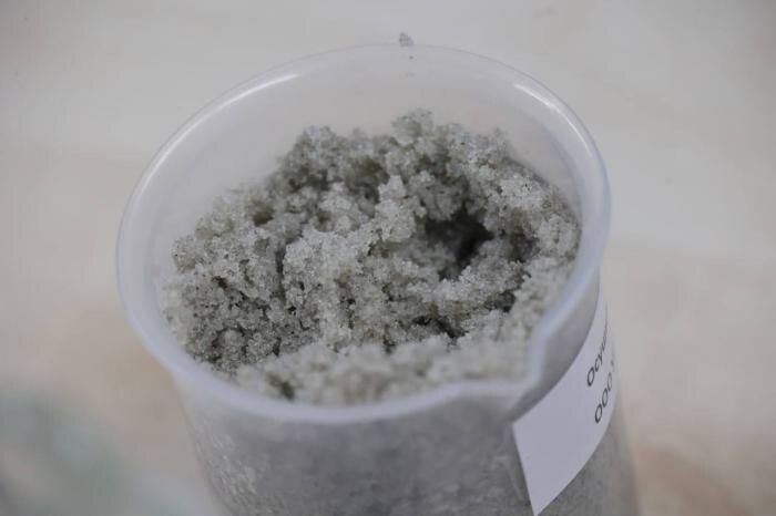     Фото: Денис Паслер / Telegram