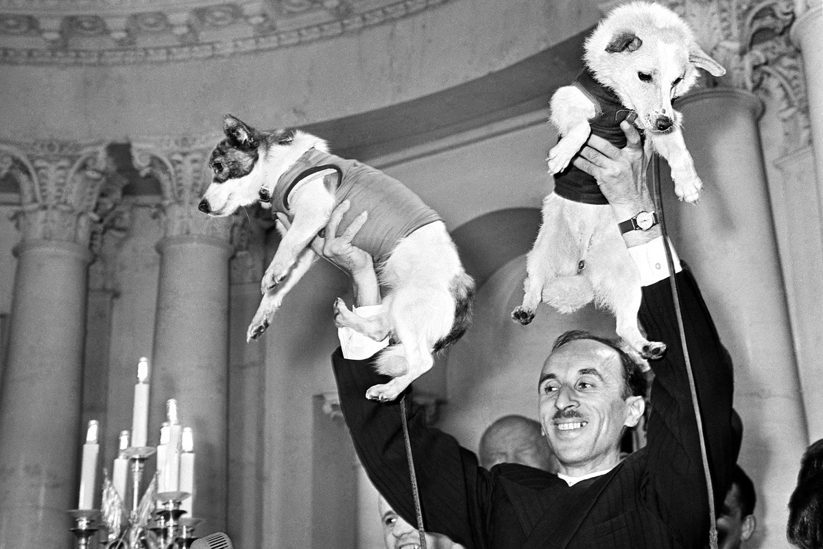    РИА Новости