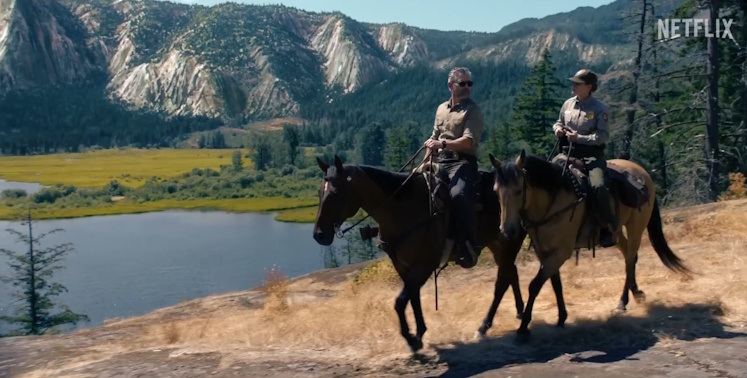 Расследование было непростым