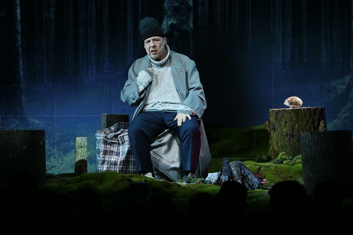 Показ спектакля «Медитативный ёж» в рамках проекта «Голоса страны». Фото: Евгений Биятов 