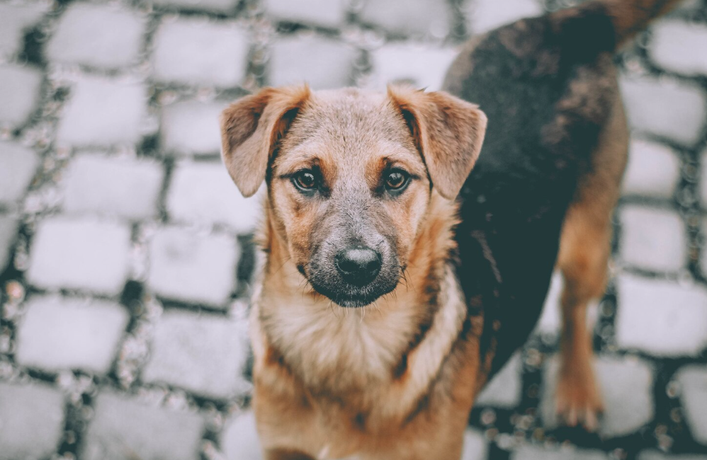 Фото: freepik / wirestock