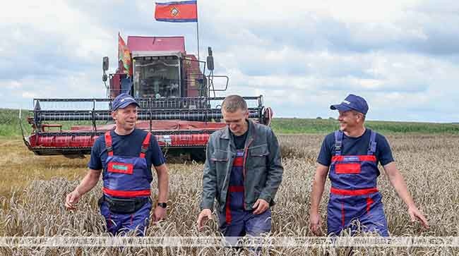 Битва за урожай потому и зовется битвой, что в ней бок о бок с аграриями участвуют представители разных ведомств и отраслей БЕЛТА