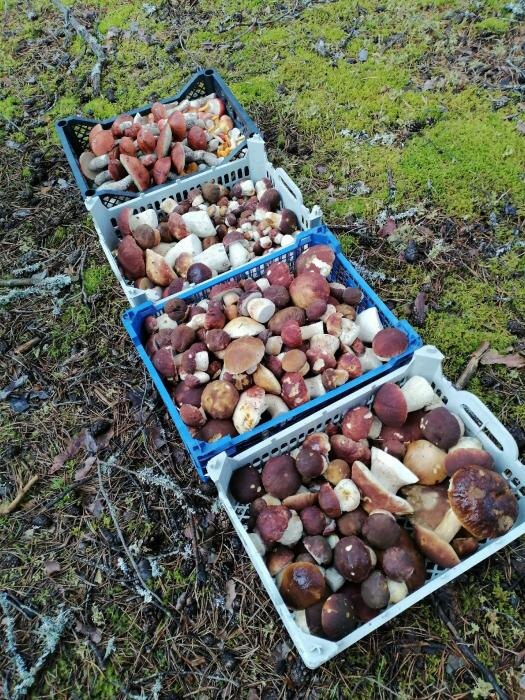 Фото: Татьяна Мочалова