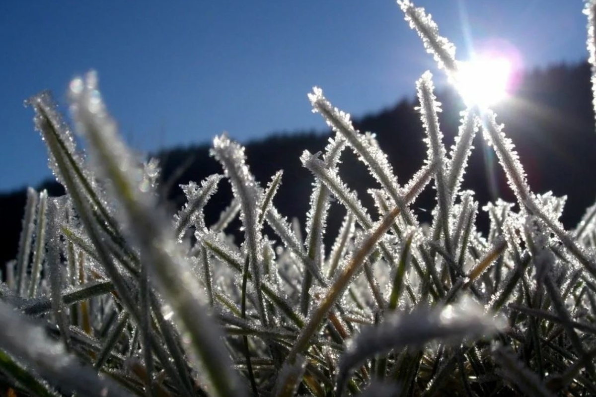    Фото: ГУ МЧС России по Липецкой области, источник: 48.mchs.gov.ru