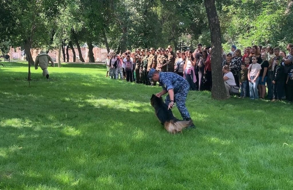    В Оренбурге служебные собаки УФСИН выступили в парке «Салют, Победа!» Антон Пичурин