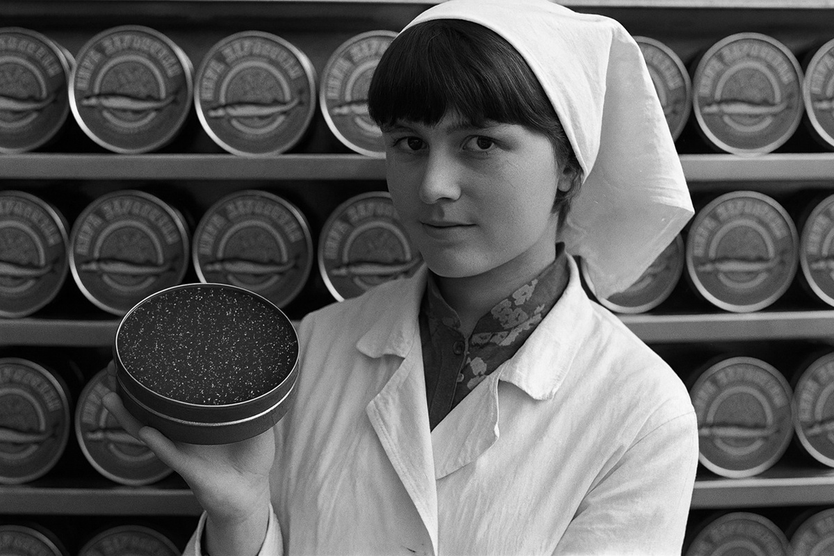 Картинка создана с помощью нейросетей