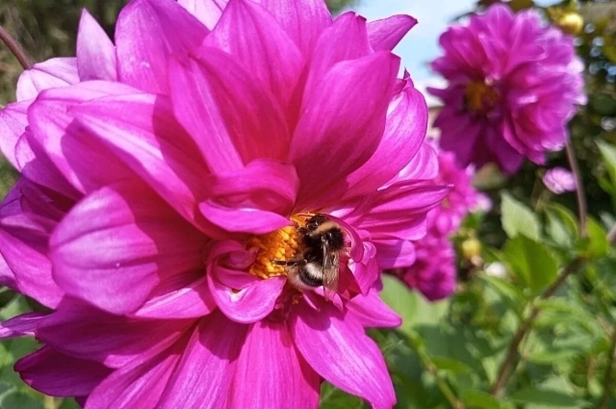    После непогоды в Свердловскую область вернется 25-градусная жара