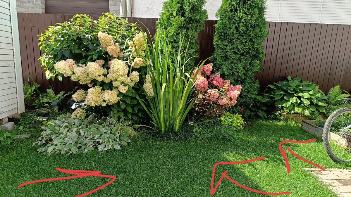 Сад автора, миксбордер окружает тень 