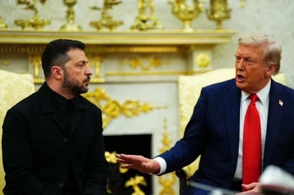    Блохин: Зеленский заискивал перед Трампом, поблагодарив 11 раз за 5 минут