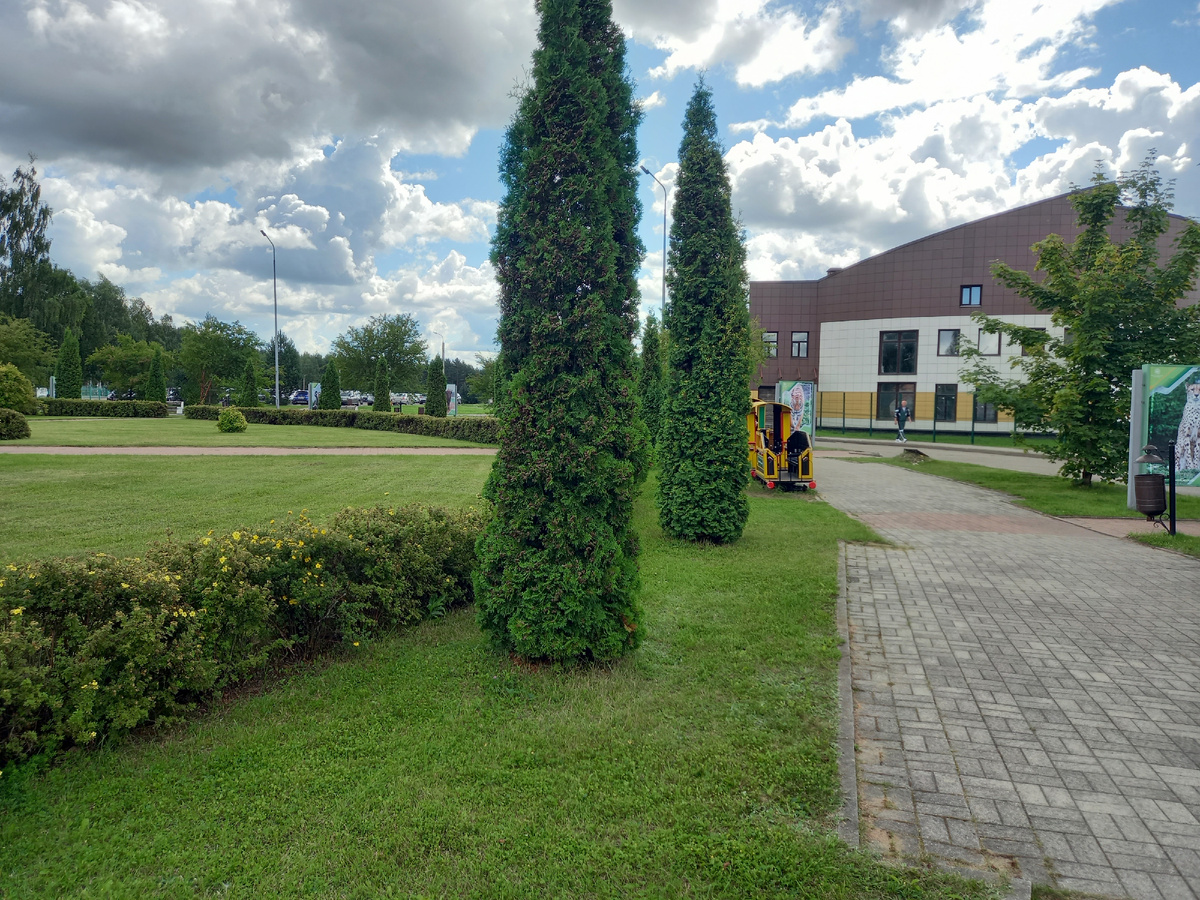 Пространство у входа в ярославский зоопарк. Чуть дальше расположена большая бесплатная парковка.