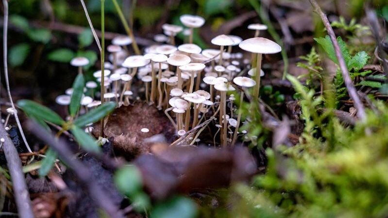    Фото: Сергей Зубков/«Ямал-Медиа»