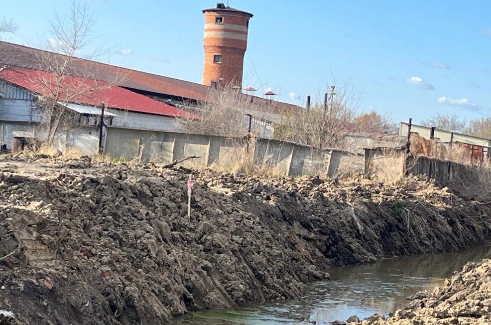    Фото: «АиФ-Дальинформ» / Даниил Маевский