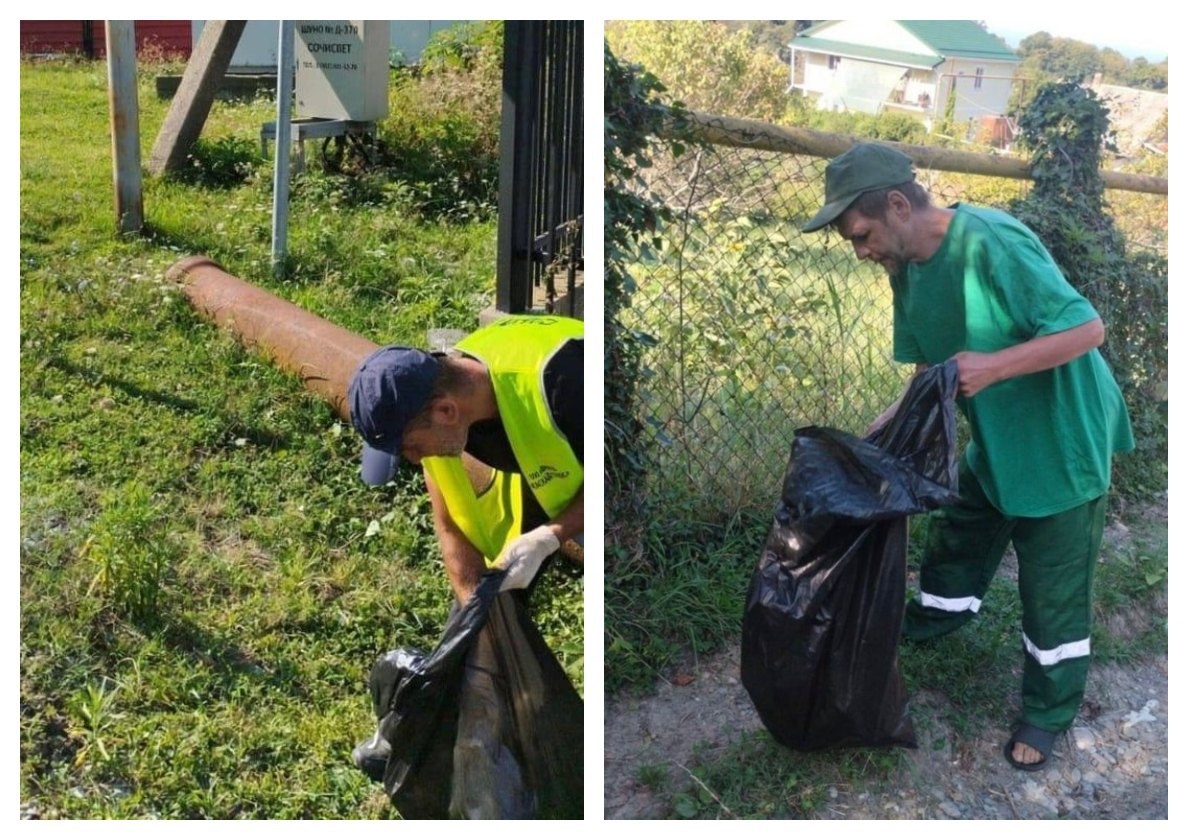    Фото: Telegram/МЦУ Сочи