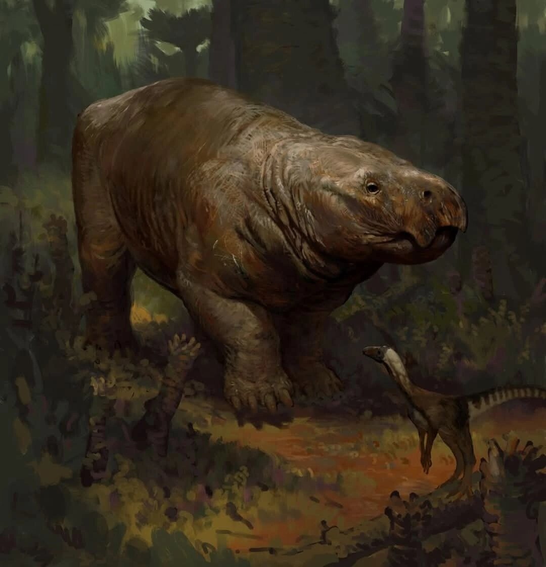 Лисовиция и маленький динозаврик.