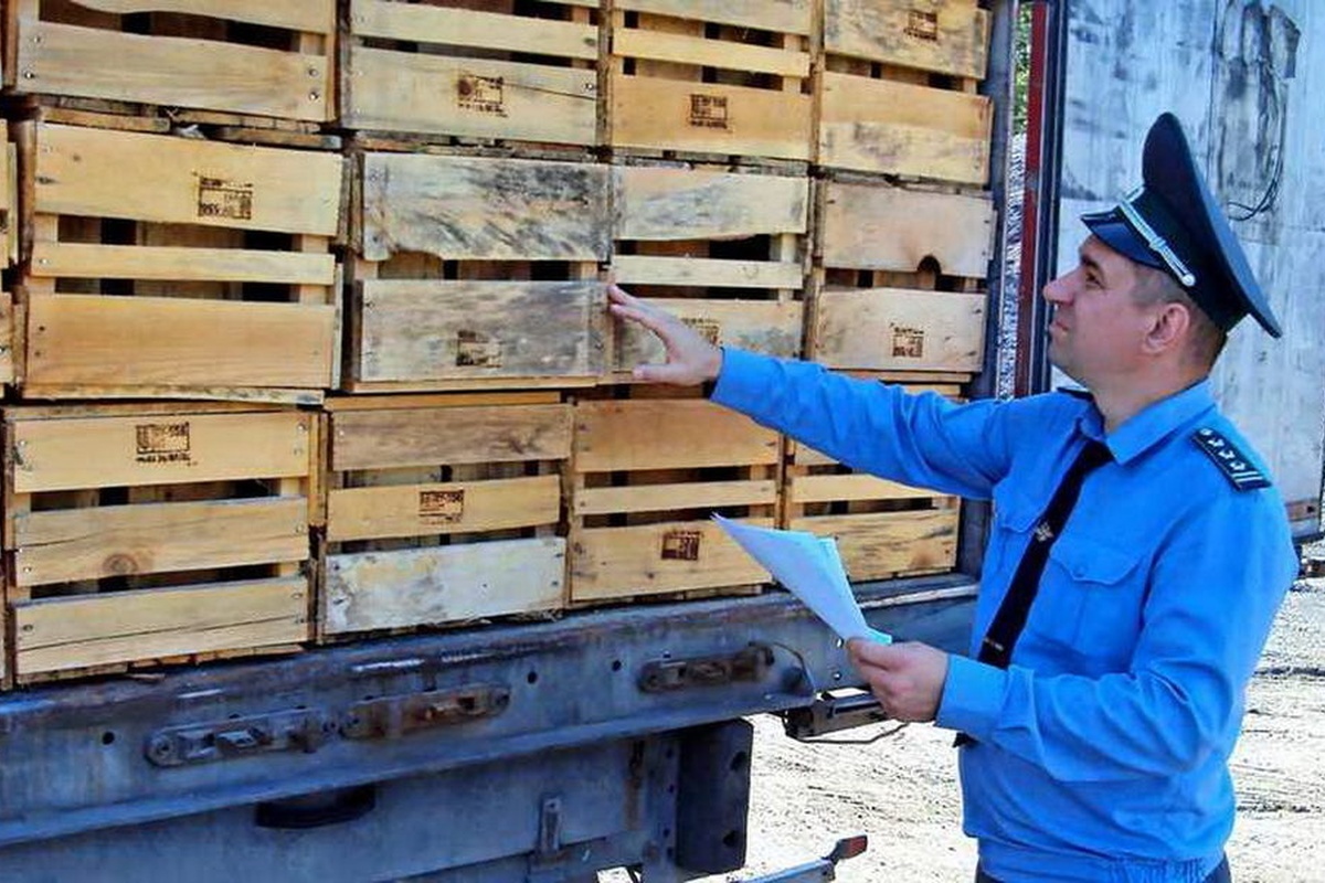    Фото: Управления Россельхознадзора по Брянской, Смоленской и Калужской областям, источник: 32.fsvps.gov.ru