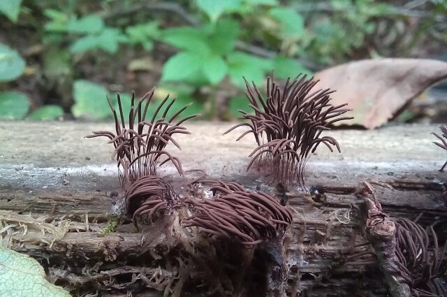    Фото: Из личного архивa/ Марина Привалова