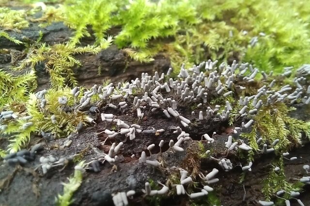    Фото: Из личного архивa/ Марина Привалова