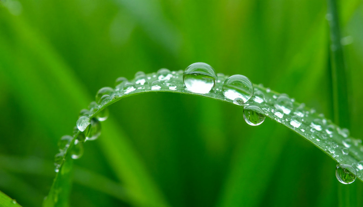 Что такое роса?