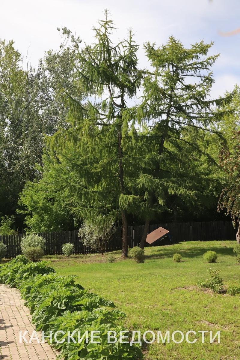 Фото Александра ВАСИЛЬЕВА.