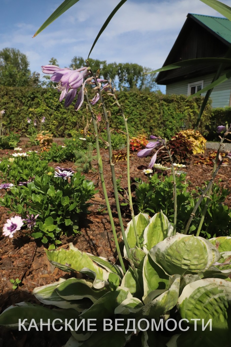 Фото Александра ВАСИЛЬЕВА.