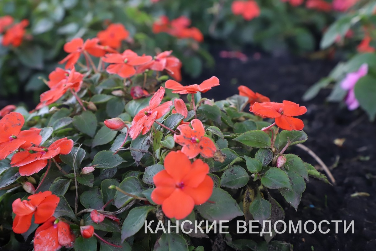 Фото Александра ВАСИЛЬЕВА.