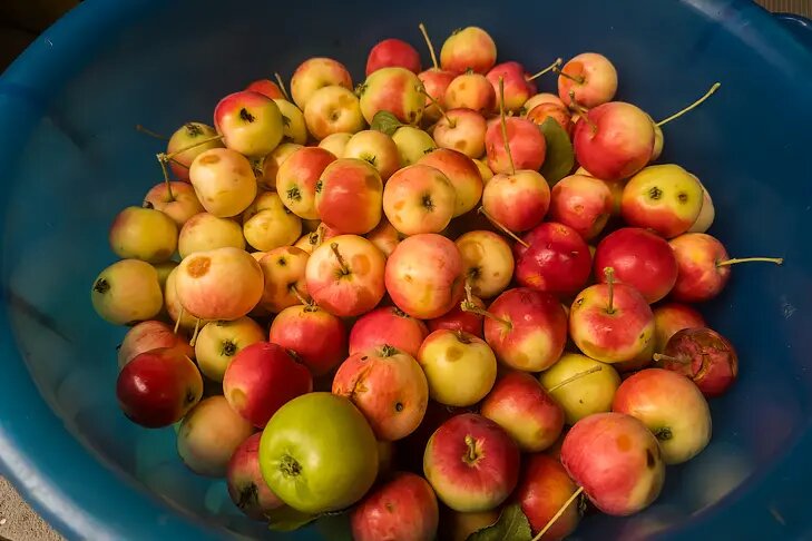    Фото Андрея Заржецкого