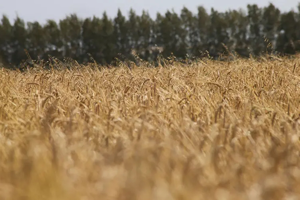    Фото: Иван Петров Источник: izvmor.ru