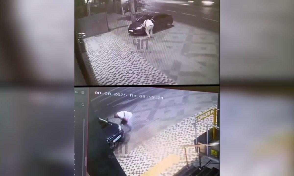    Скриншот видео t.me/chp_krd