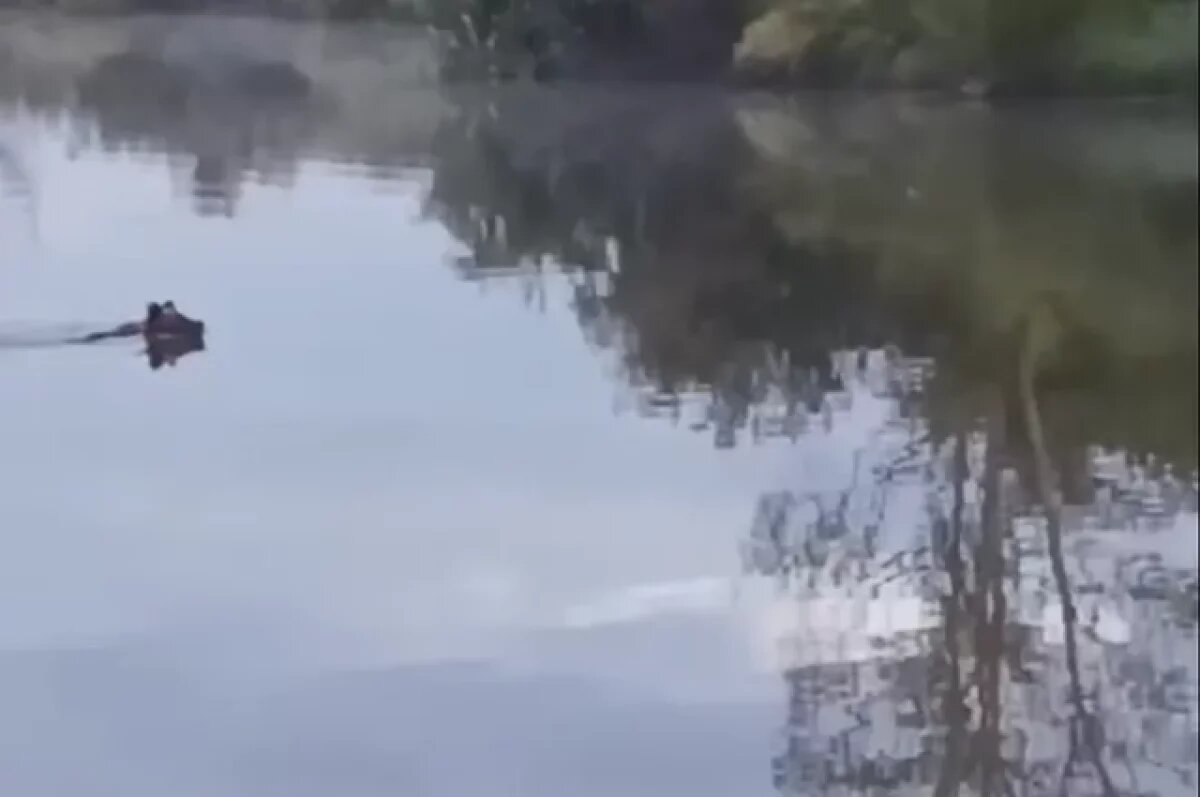    Медведь переплыл с одного берега Урала на другой.