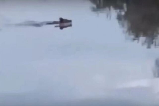    Очевидец очень эмоциаонально отреагировал на встречу с хищником. Фото: Соцсети