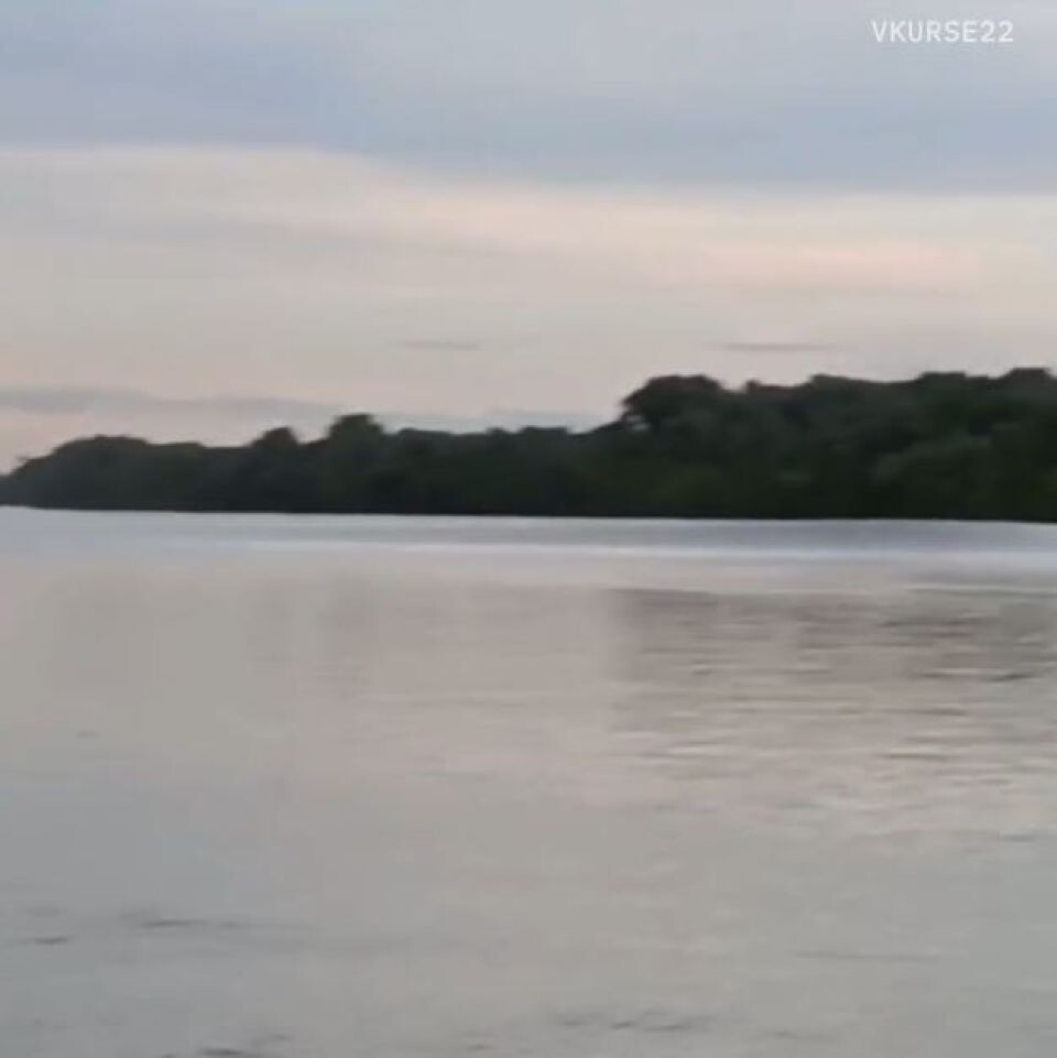    Огромная волна накрыла берег в Калманском районе. Источник: "Типичный Алейск" / Vk.com