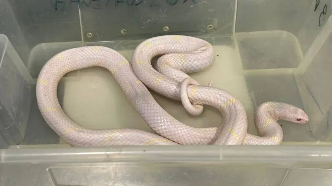    Фото: пресс-служба прокуратуры Петербурга