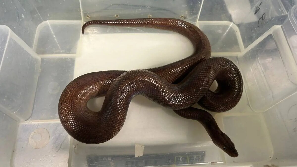    Фото: пресс-служба прокуратуры Петербурга