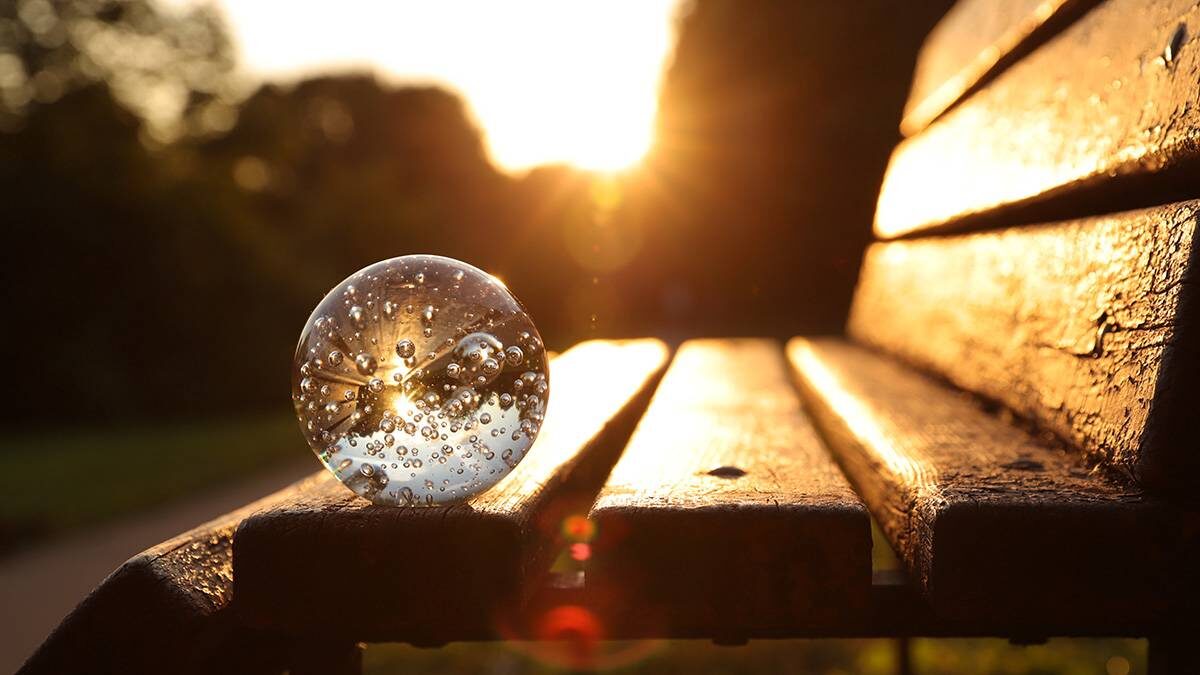    Фото: Анатолий Цымбалюк / Вечерняя Москва