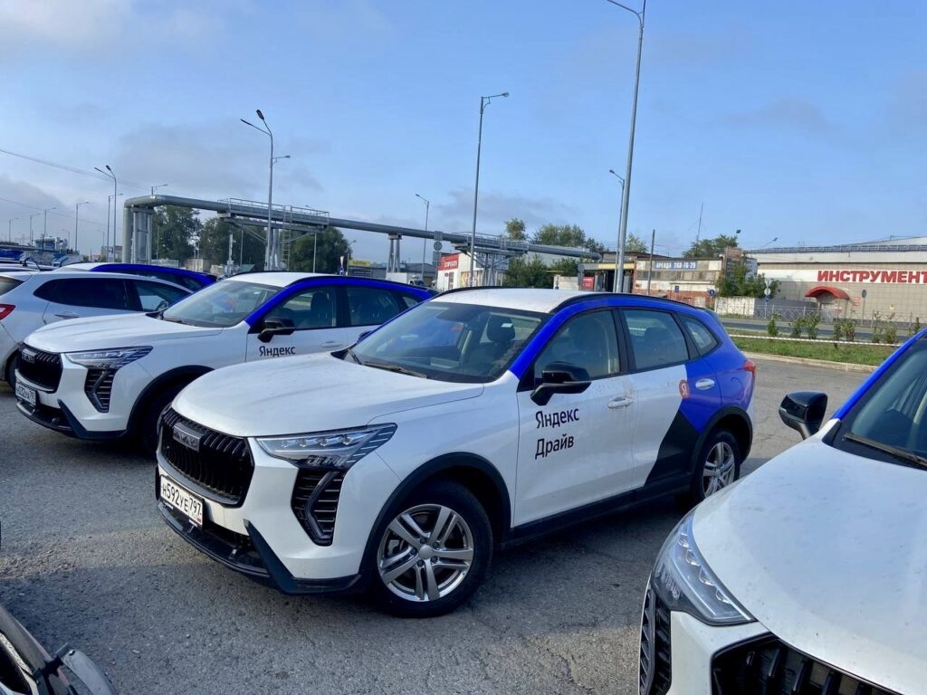    Фото: В курсе.ру Ульяна Бажанова