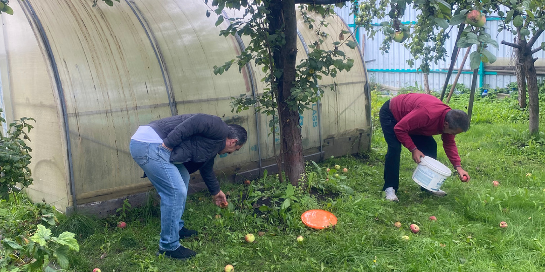 Праздник урожая: как приготовить вкусное варенье из яблок на Яблочный Спас