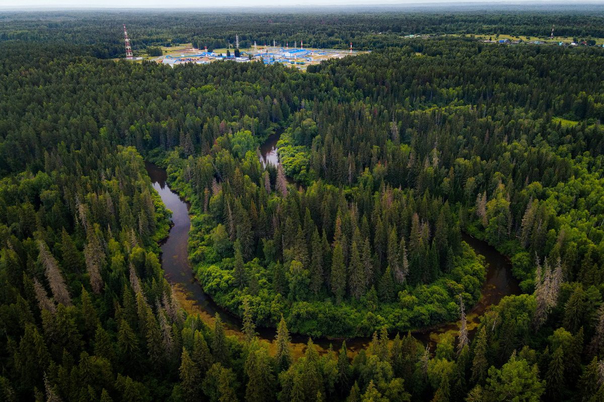 Фото Н. Кудрявцева