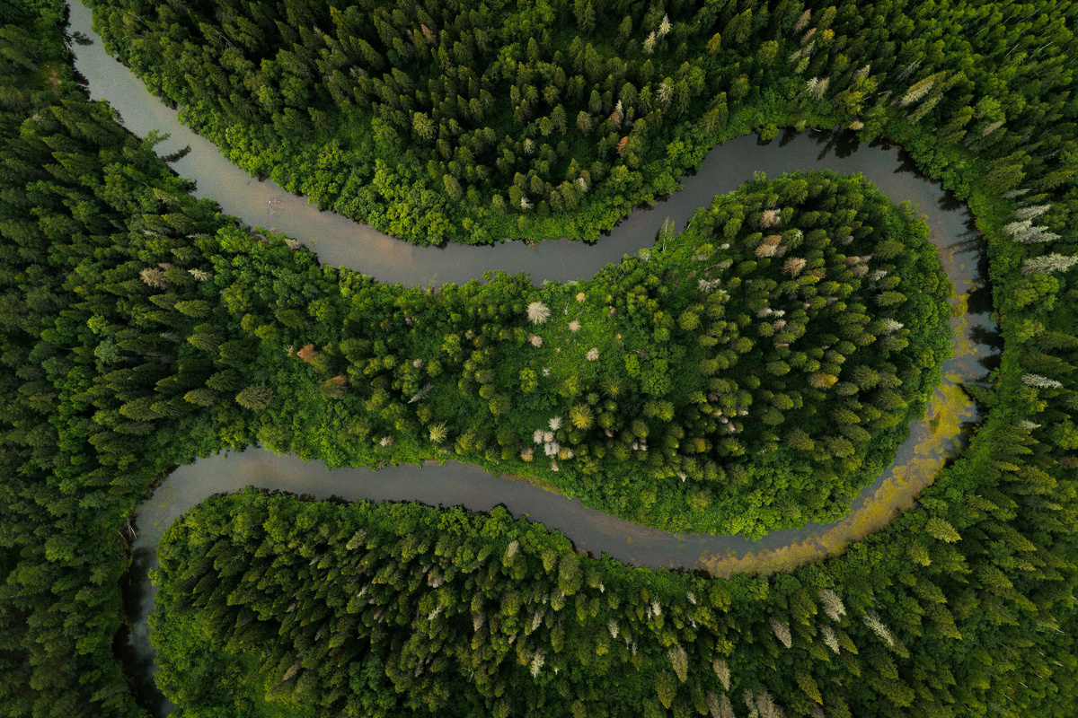 Фото Н. Кудрявцева