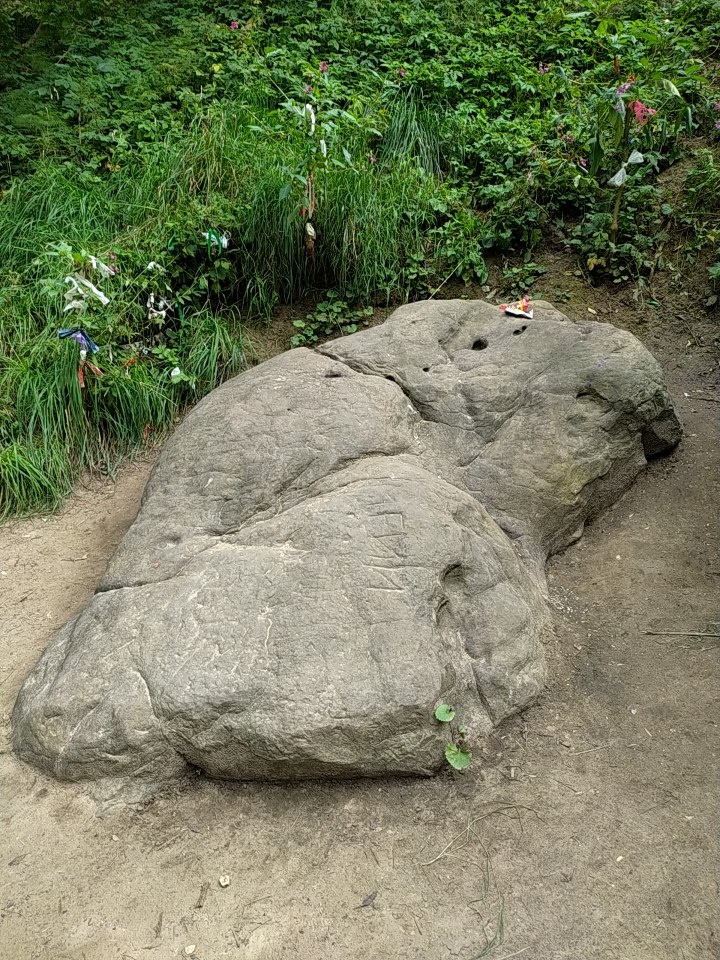 Гусь-камень