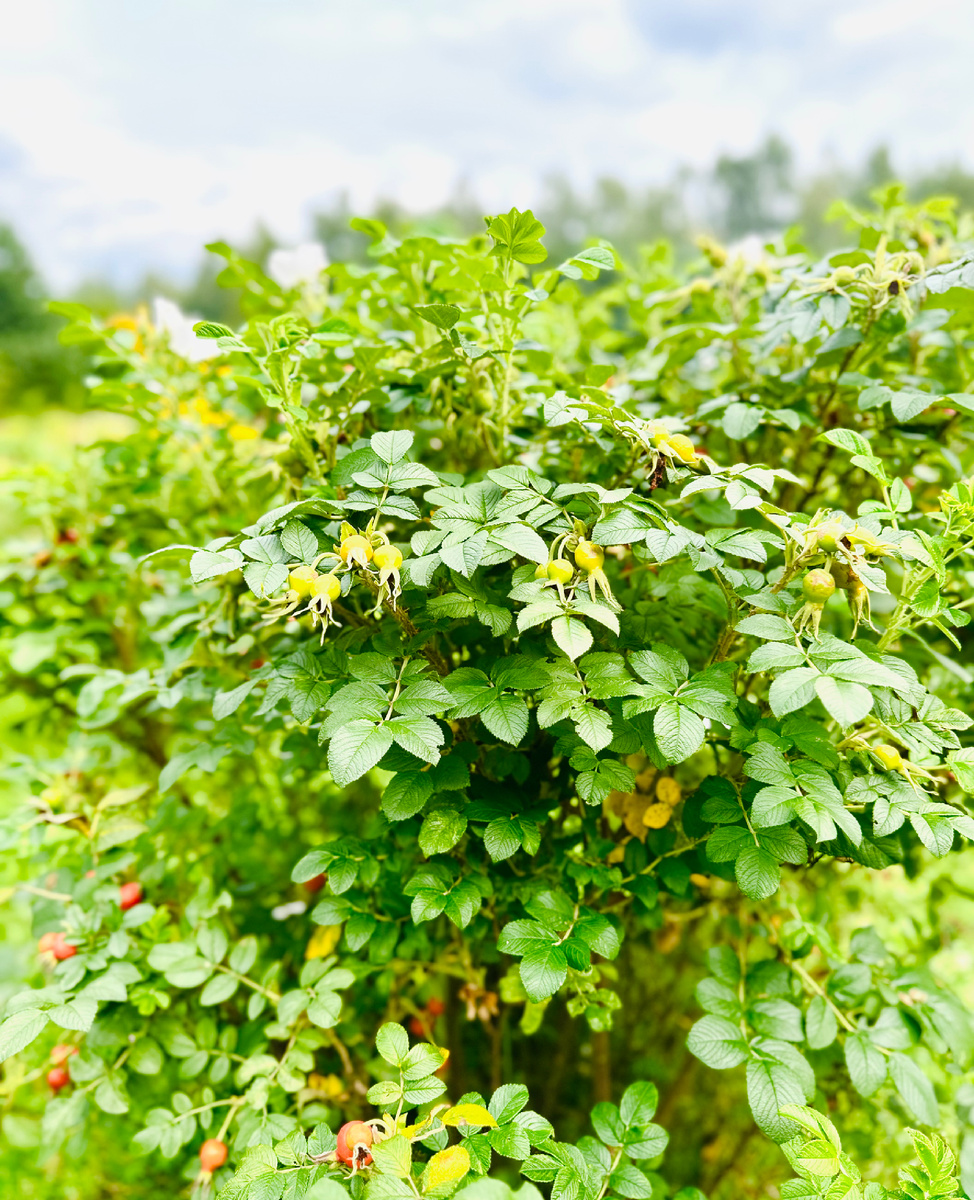 Личное фото