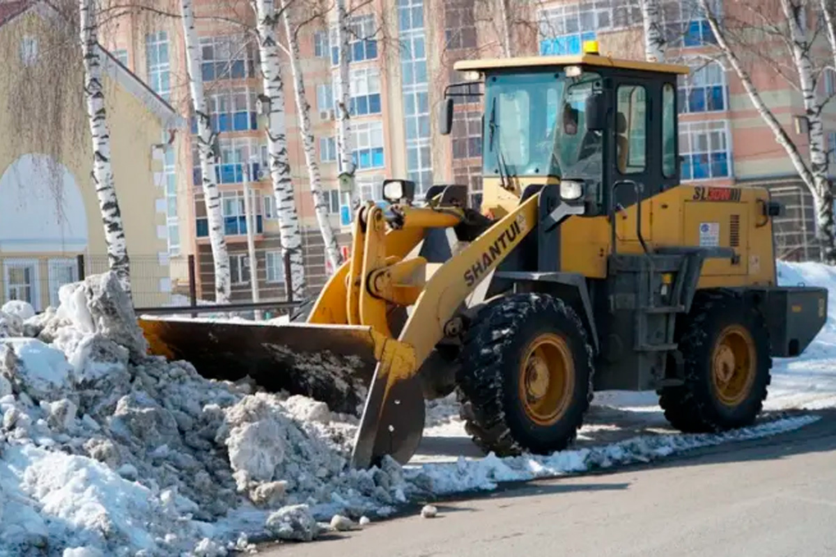    Фото: Известия Мордовии, источник: izvmor.ru