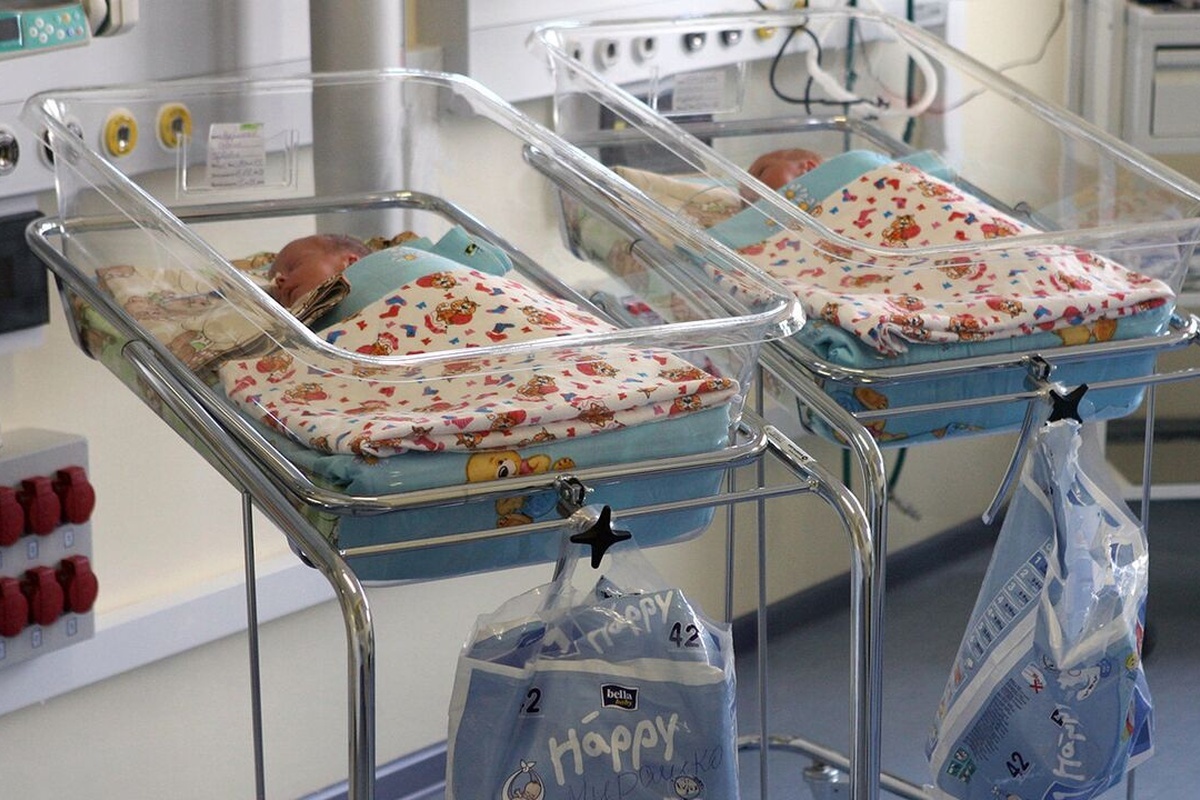    Фото: Игорь Зарембо, источник: ria.ru