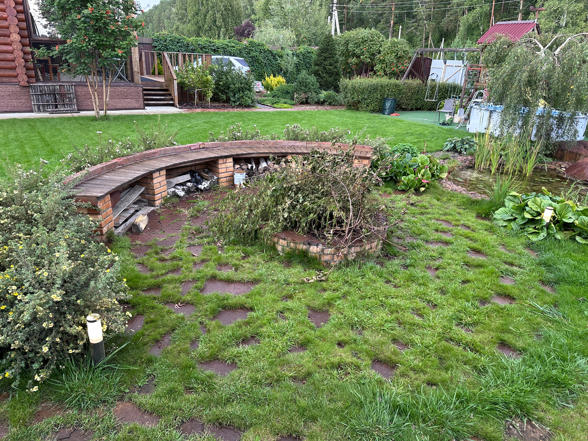 Костровище сегодня 19 августа 2025 года (в нем лежат ветки после обрезки на сжог)