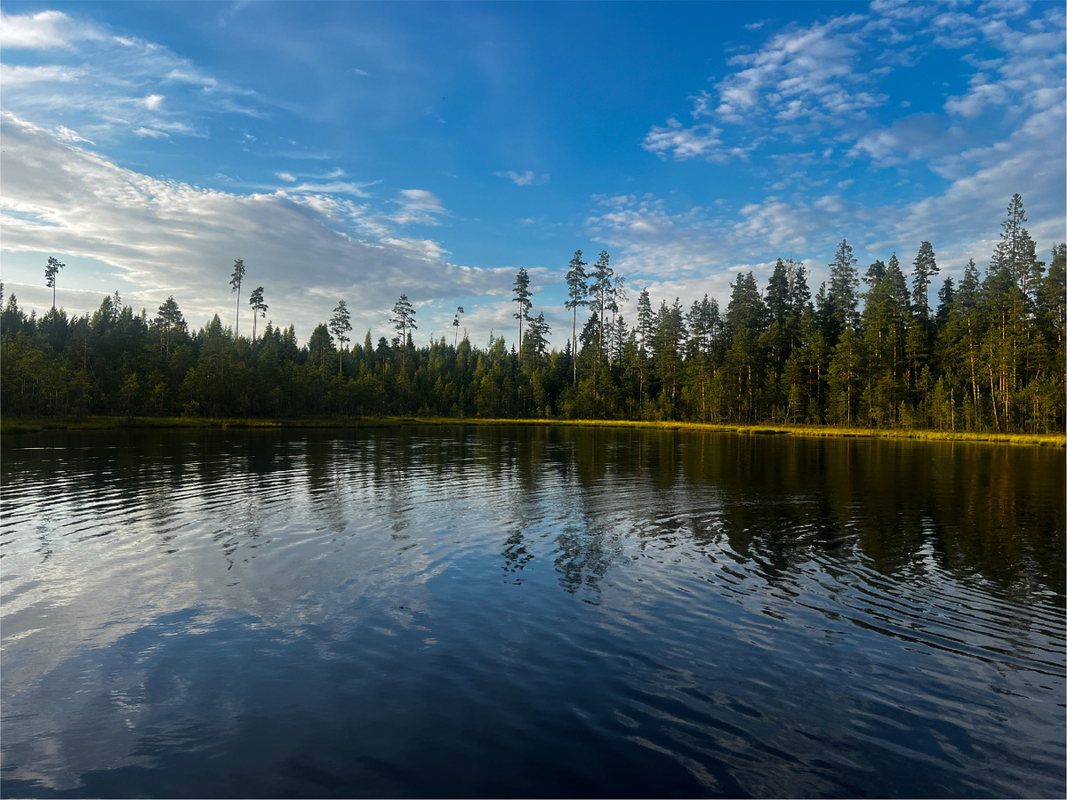Озеро Прохладное, август 2025.