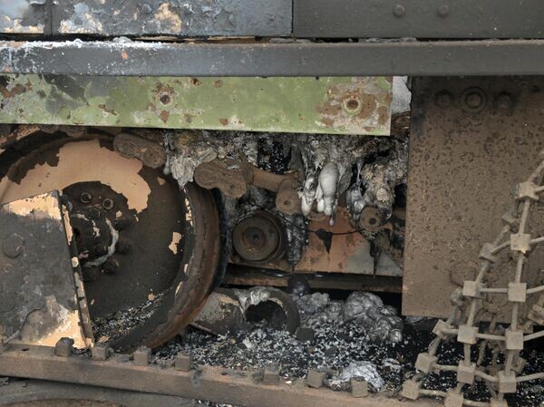    © РИА Новости Евгений Биятов