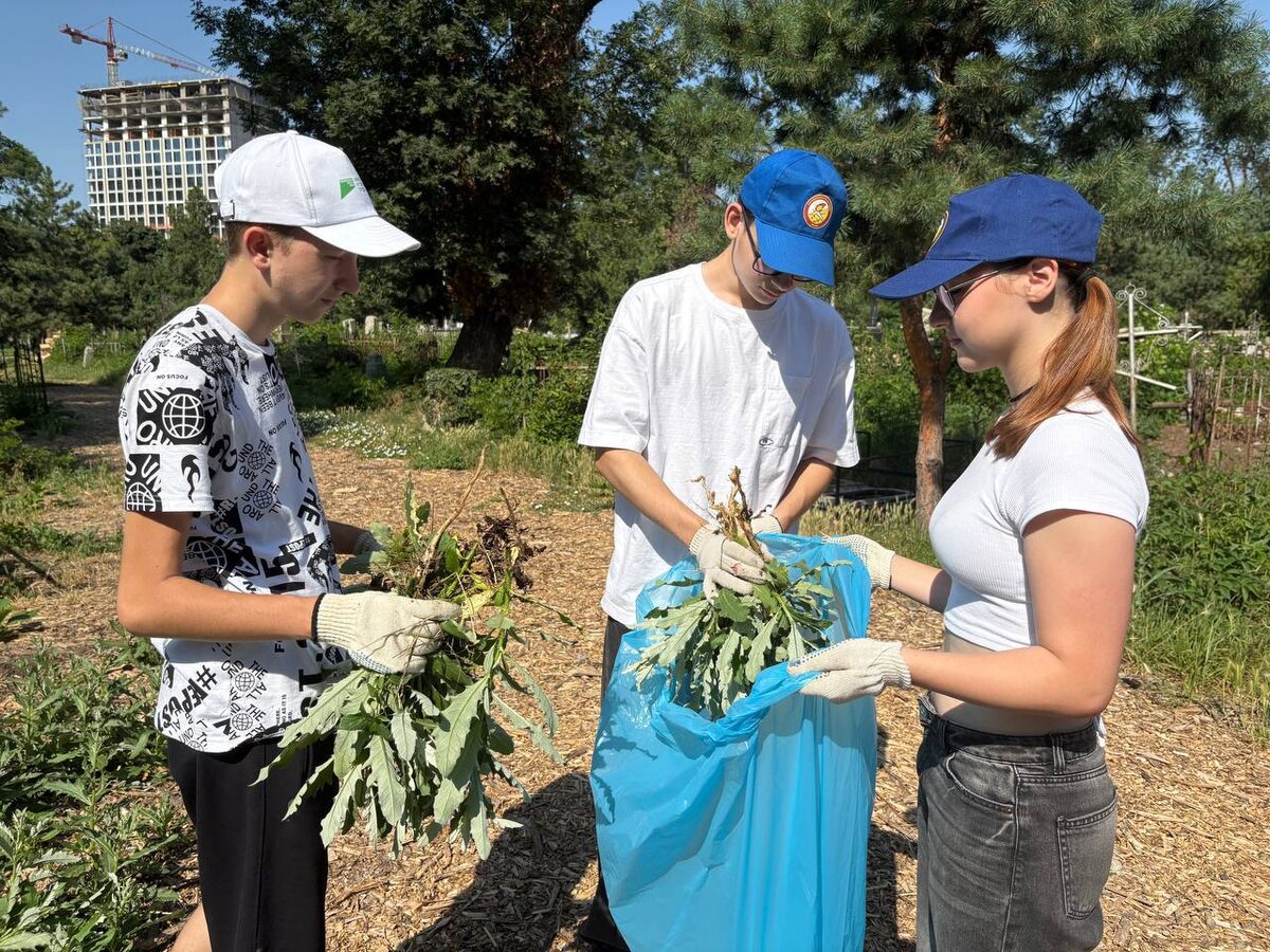 Фото: Управление по социальным вопросам администрации Краснодара